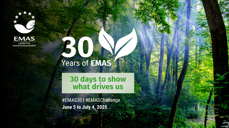 EMAS 30 gadu plakāts